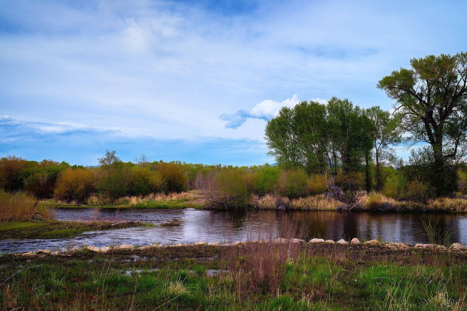 The North Platte River at Treasure Island public access area, lined with cottonwoods
