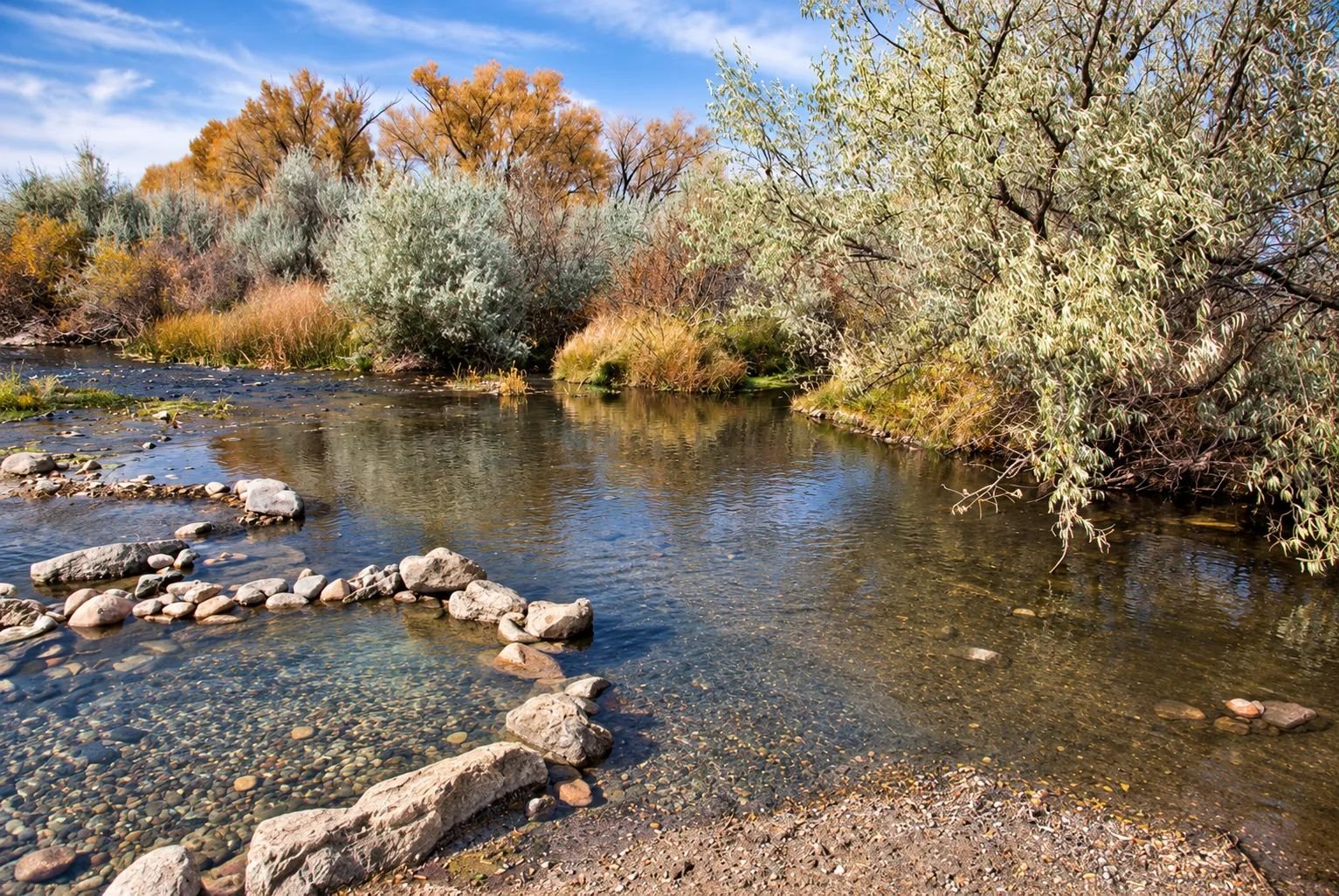 Rock-ringed hot spring pockets in the clear North Platte River with autumn trees